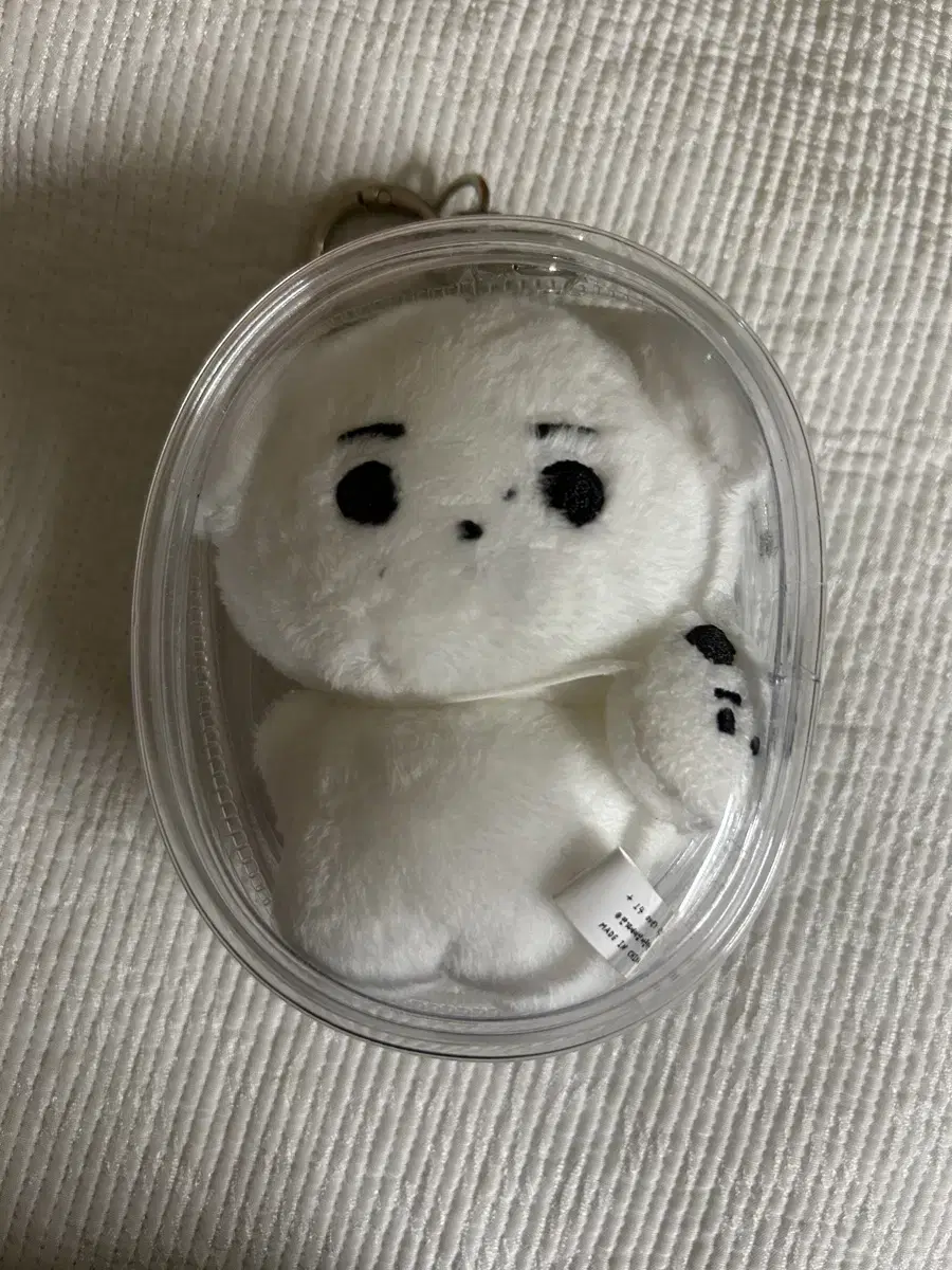 훈댕이 박성훈 인형 성훈 엔하이픈