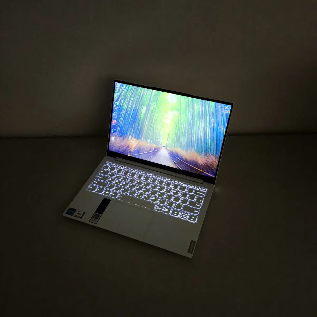 초경량노트북 Lenovo Yoga Slim 7 Carbon 13ITL5