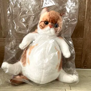 통통한 만마루쨩 봉제 인형 캣 고양이 도둑고양이 뚱뚱한