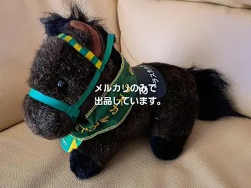 AVANTI S 사이즈 제킨 10 라스칼 스즈카