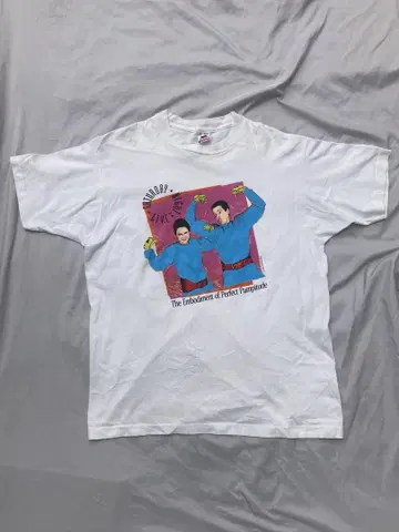 추정 80년대 FRUIT OF THE LOOM XL 티셔츠, 좋은 프린트