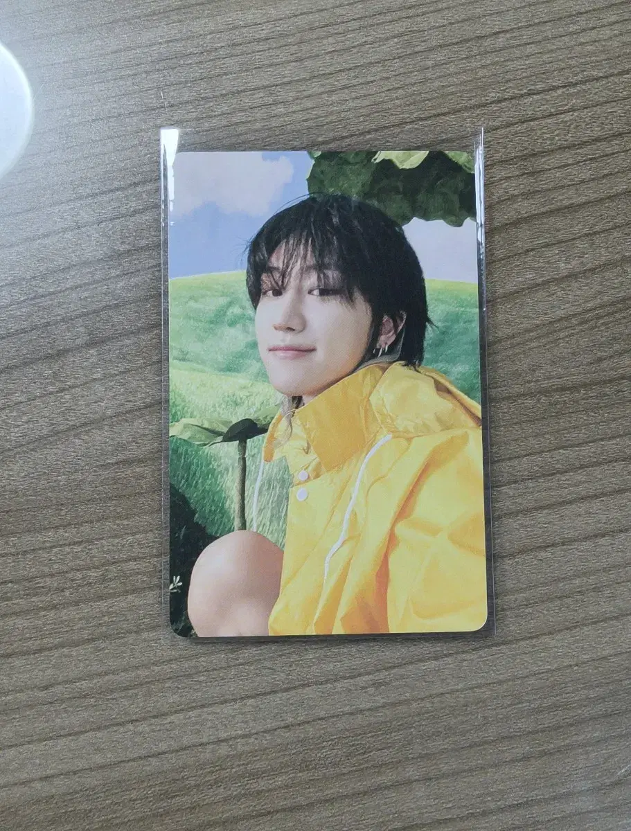 세븐틴 디에잇 seventeenth heaven 캐럿반 랜포