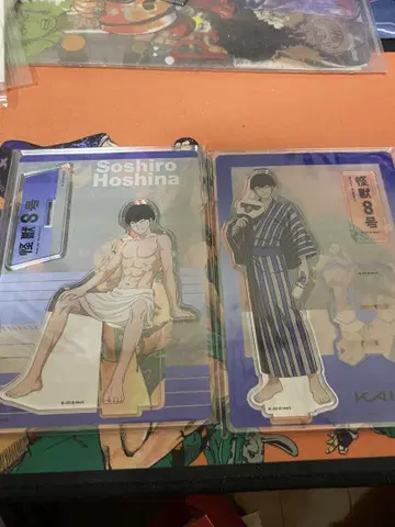 괴수 8호 호시나 소우시로