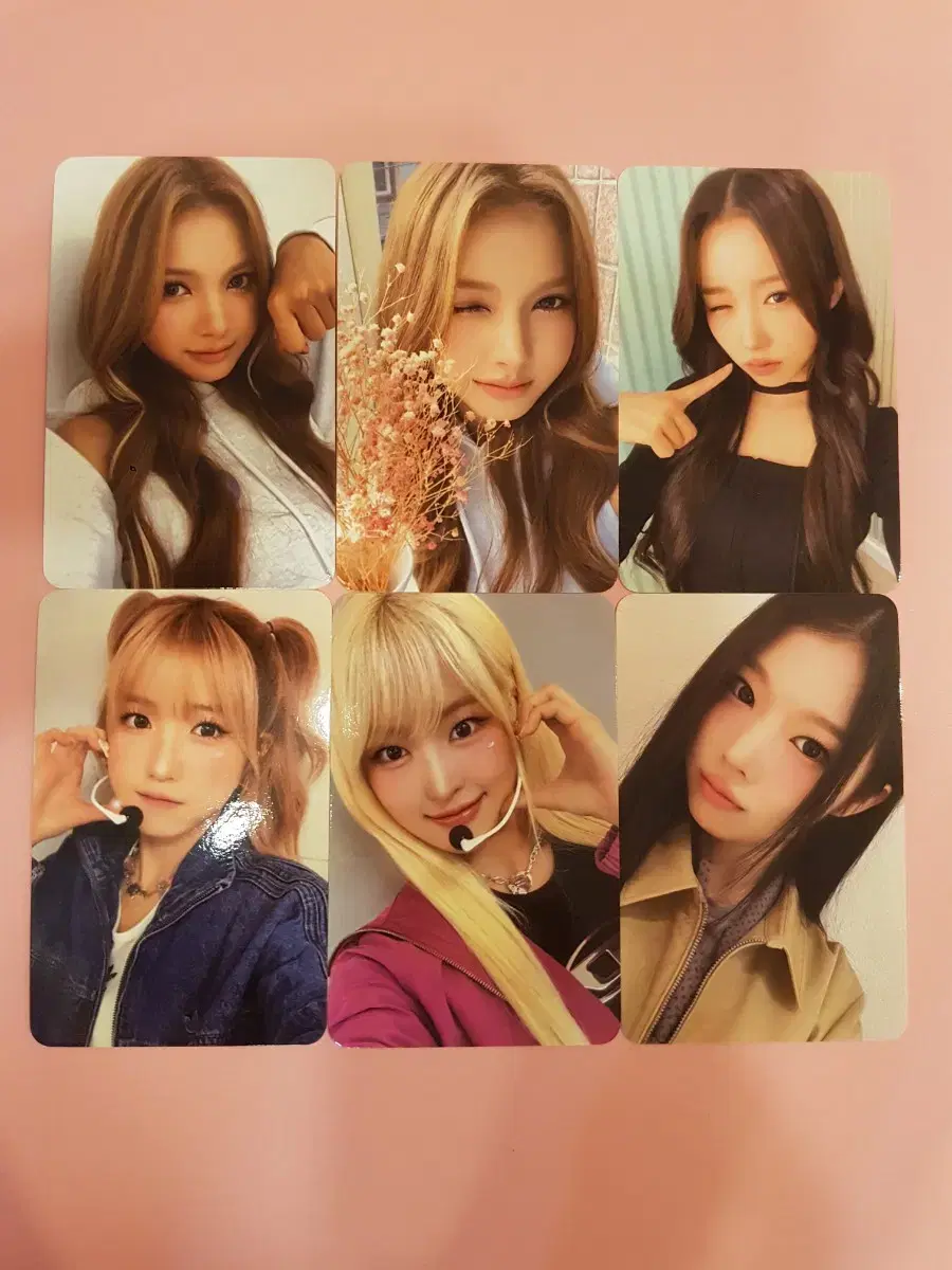 세이마이네임*포카 에버라인