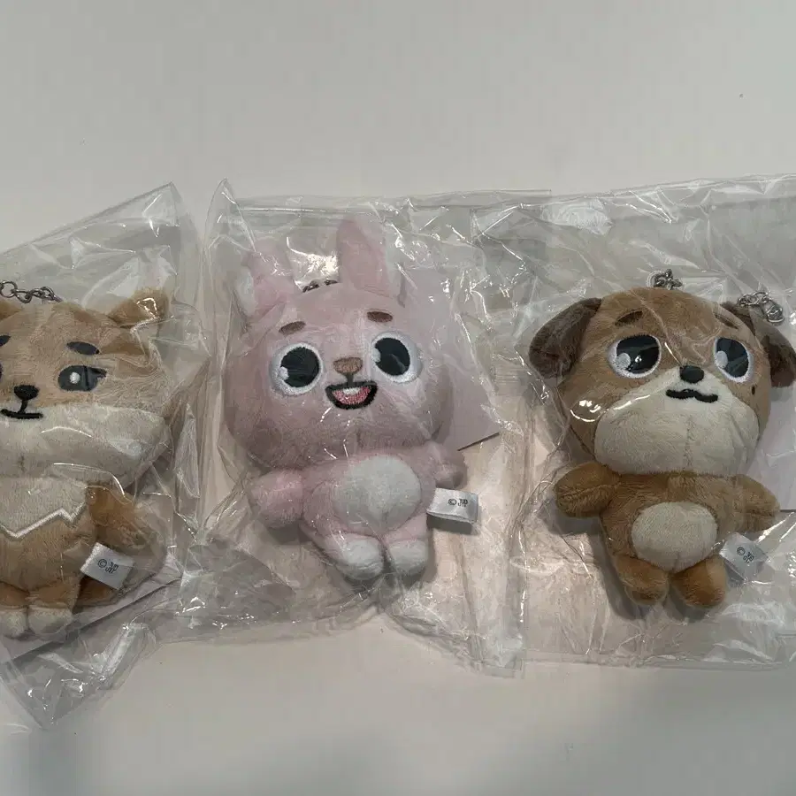 すぐったレディース福袋 | DAY6 데이식스 on Don Charm Bag Denimals MD Japan Day6 キャラクターグッズ
