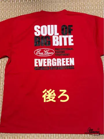 에버그린 기쿠모토 씨 BIG BITE 2XL