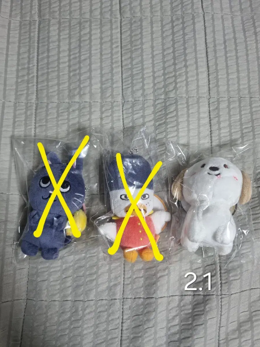라이즈 10cm 멍룡이 인형 양도