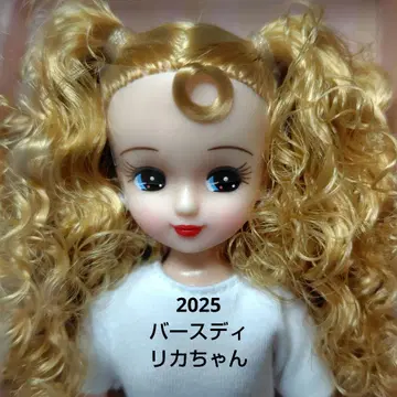 2025년 벌스데이 리카짱 미개봉 새상품 리카짱 캐슬 벌스데이