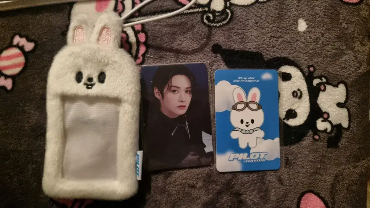 스트레이키즈 스키즈 리노 리빗 포카 홀더 LEEBIT HOLDER SKZ