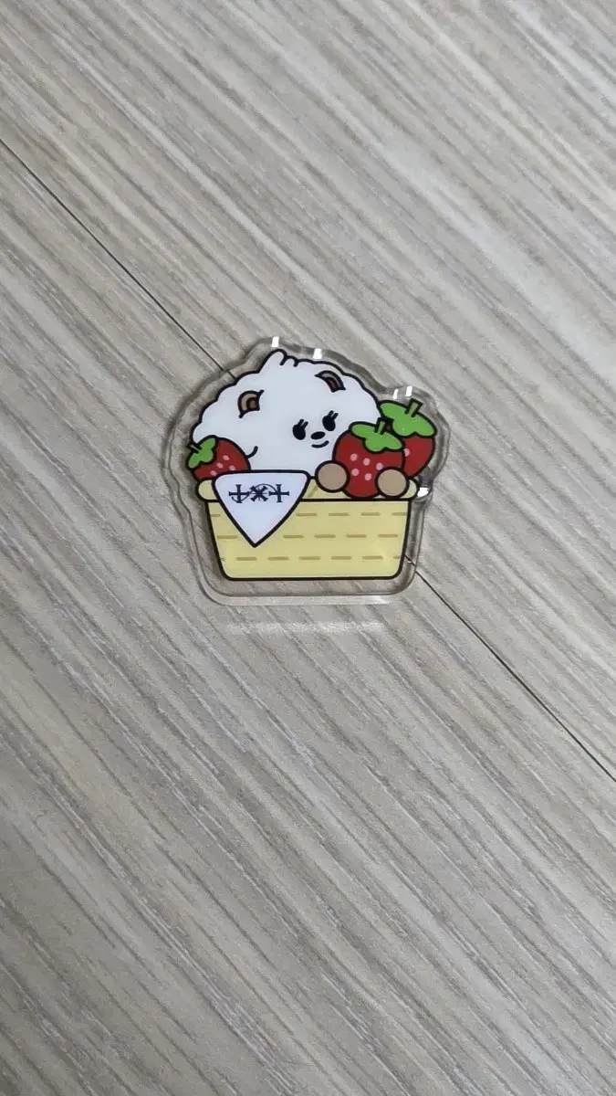TXT 투바투 PPULBTU BADGE FUKUOKA 밤긋 뱃지