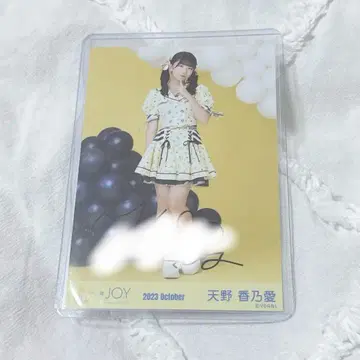 니아 조이 브로마이드 아마노 코노아 이코노이 조이 2023 마린 자필