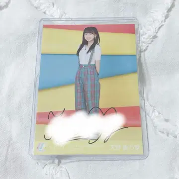 니아 조이 브로마이드 아마노 코노아 이코노이 조이 대운동회 자필