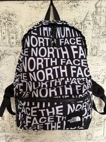 THE NOTHE FACE 백팩 백팩 한국 한정판
