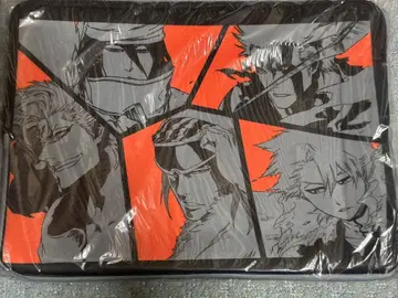 BLEACH 블리치 멀티 케이스