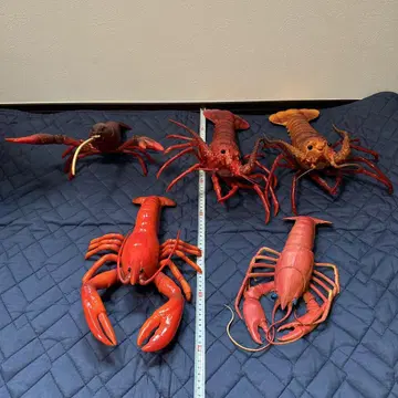 새우, 랍스터, 가재 피규어