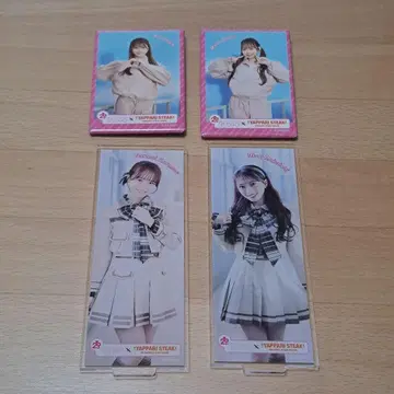 AKB48 역시 스테이크