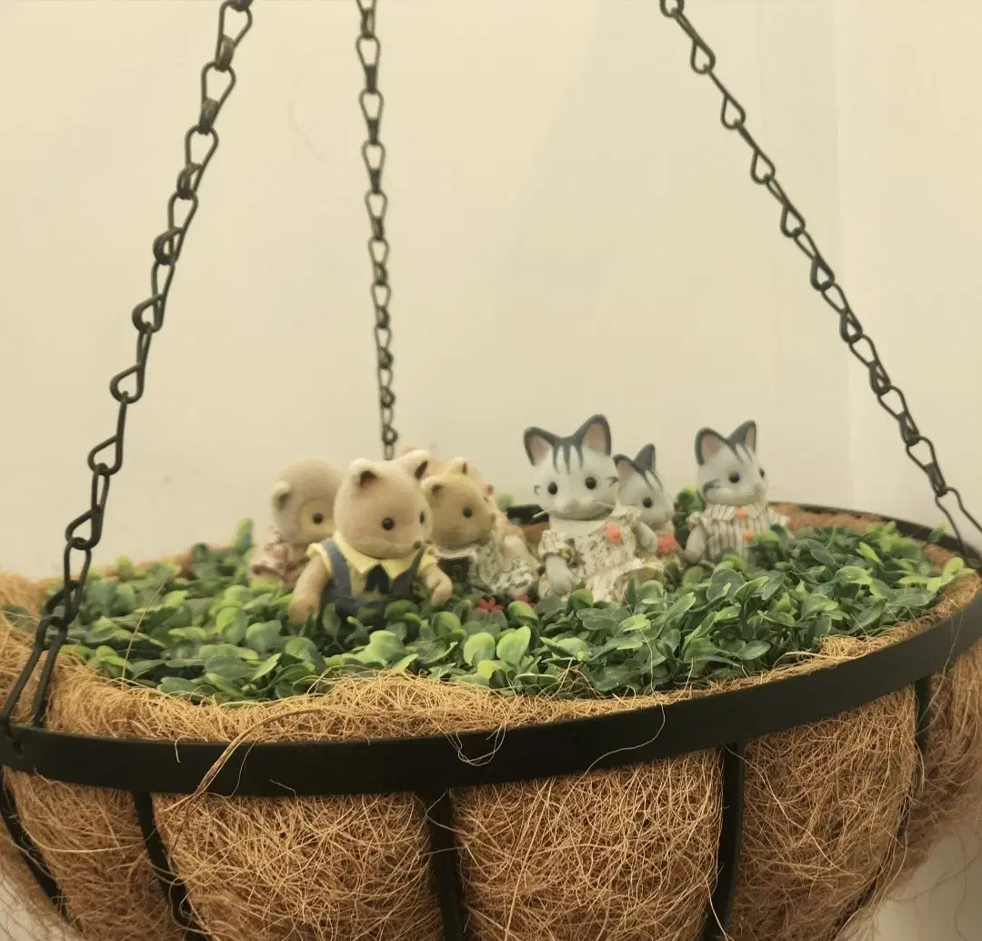 실바니안 모여라 아기고양이 분철 (메이플캣)