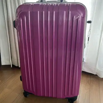 캐리어 케이스 핑크