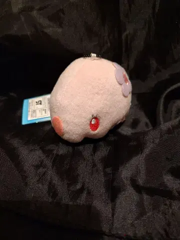 포켓몬 MY 컬렉션 문나 봉제 인형