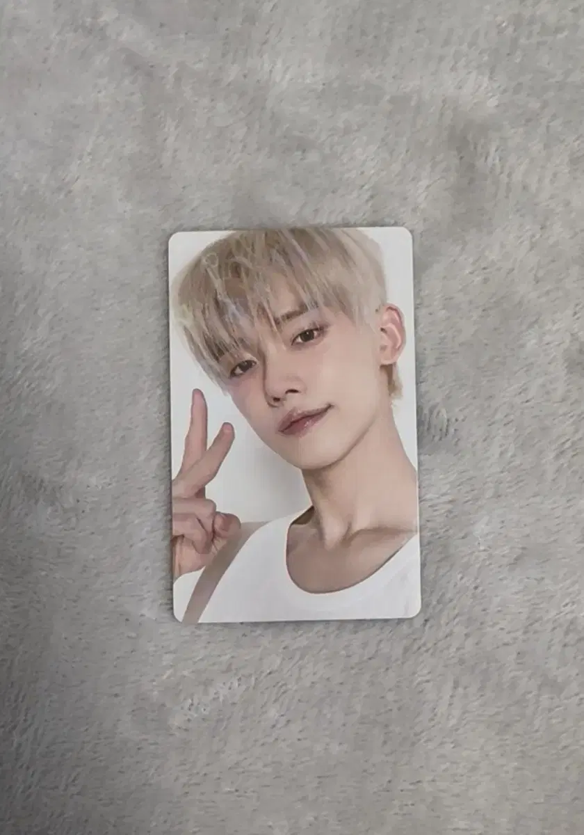 투바투 txt 지비지비 위버스재팬 연준 양도 투모로우바이투게더
