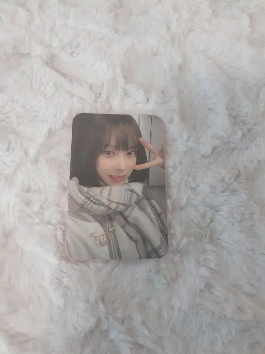 에스파 윈터 포카 팔아요