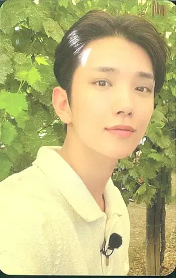 세븐틴 조슈아 나나 투어