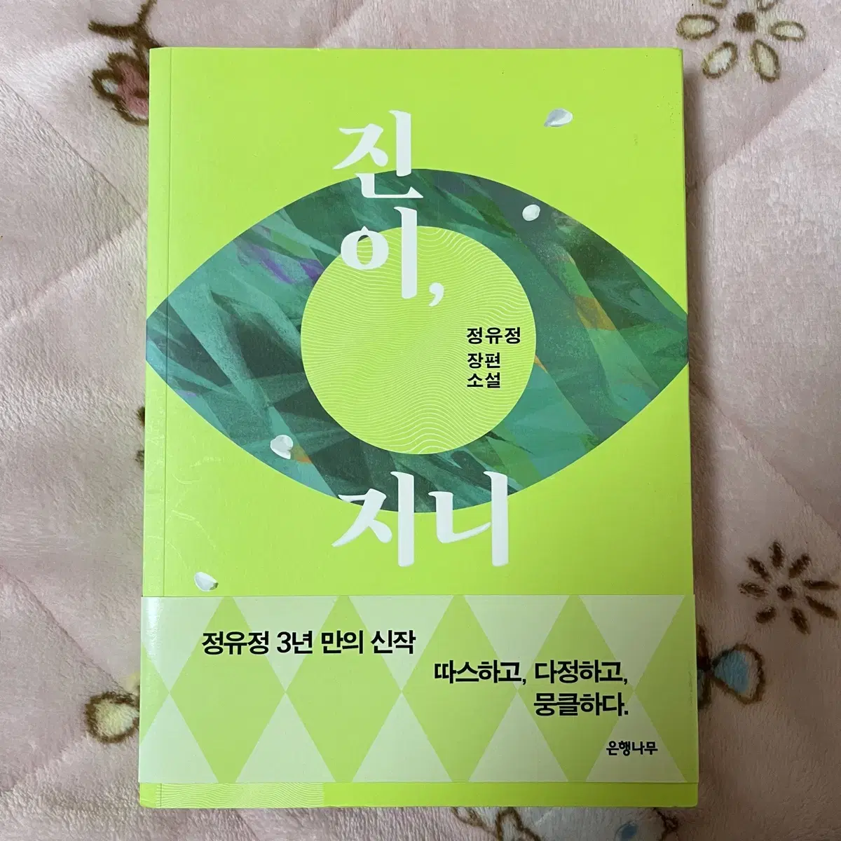 정유정 진이,지니
