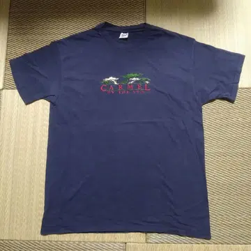 US 구제 의류 [anvil] XL 자수 패턴 USA제 카멜
