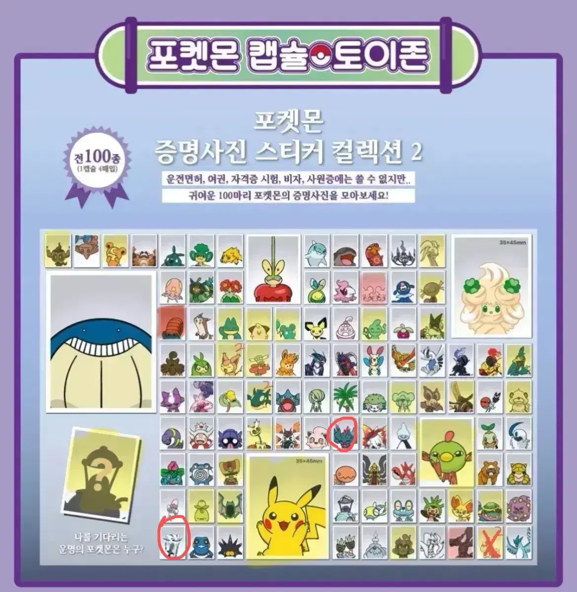 포켓몬스터 포켓몬 증명사진 메타몽 잠실 팝업 증사 2탄