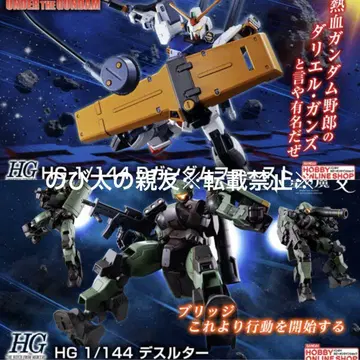 프리미엄 반다이 HG D 건담 퍼스트 & HG 데스루타 2개 세트