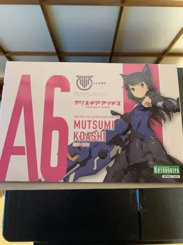 A6 MUTSUMIKOASHI 앨리스 기어 아이기스