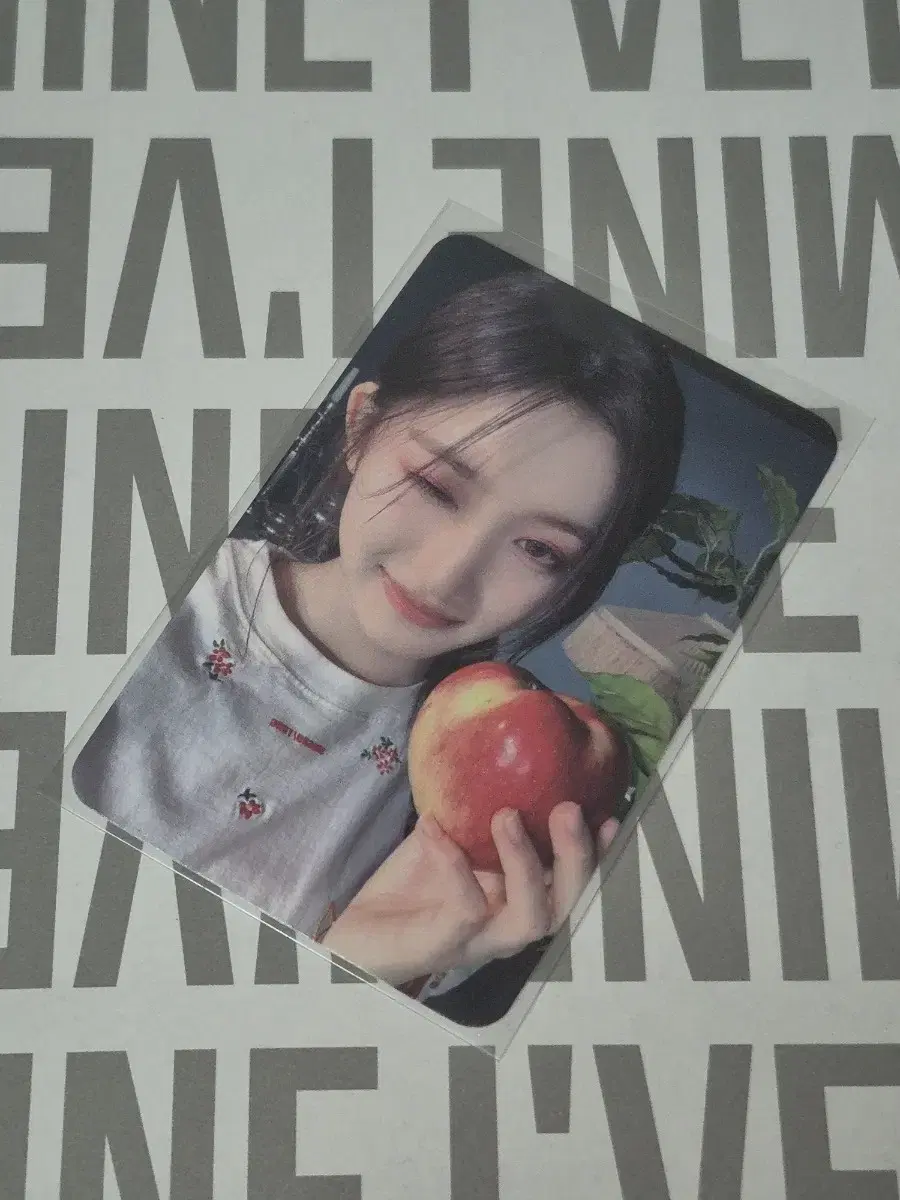 아이브 포토카드포카안유진가을레이장원영리즈이서엠파시최저가앨범앨포미공포