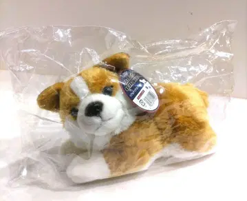 REGALO 레가로 리얼 도그 컬렉션 웰시 코기 봉제 인형