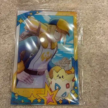 포케마스 아크릴 아트 패널 워로