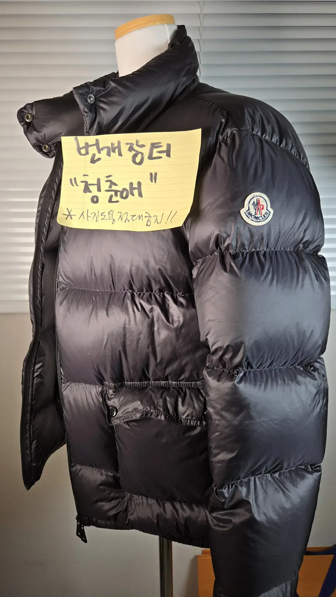 Moncler Lanic Goose Down Padding (Size 5)