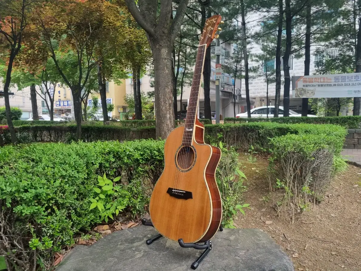Selling Dexter slim body top solid acoustic guitar with pickup for busking