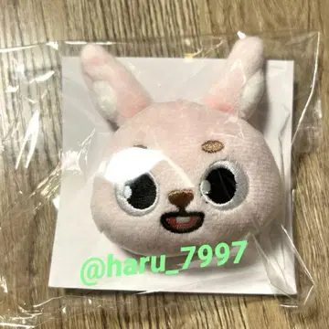 DAY6 tour 원필 봉제 인형 배지 pil 공식 굿즈