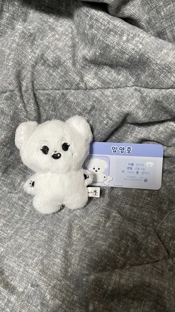 세븐틴 김민규 민규 인형 밍티쥬 양도