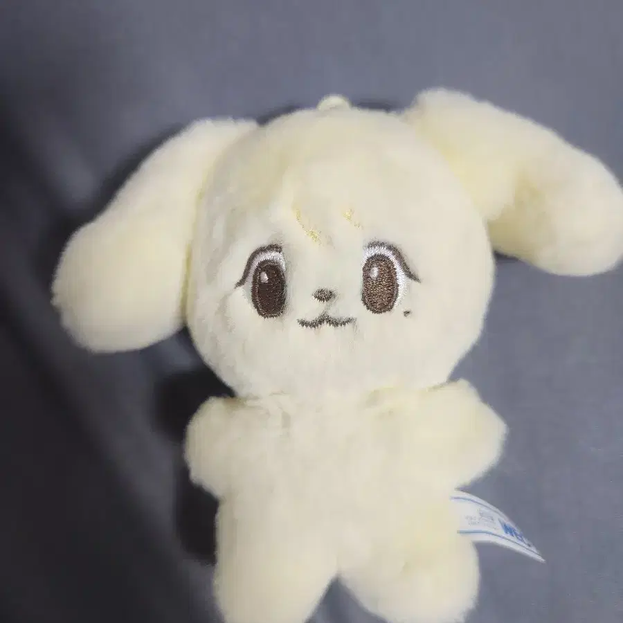 NCT | 엔시티 NCT NCT 127 NCT NCT 127 Jungwoo doll Jungaji