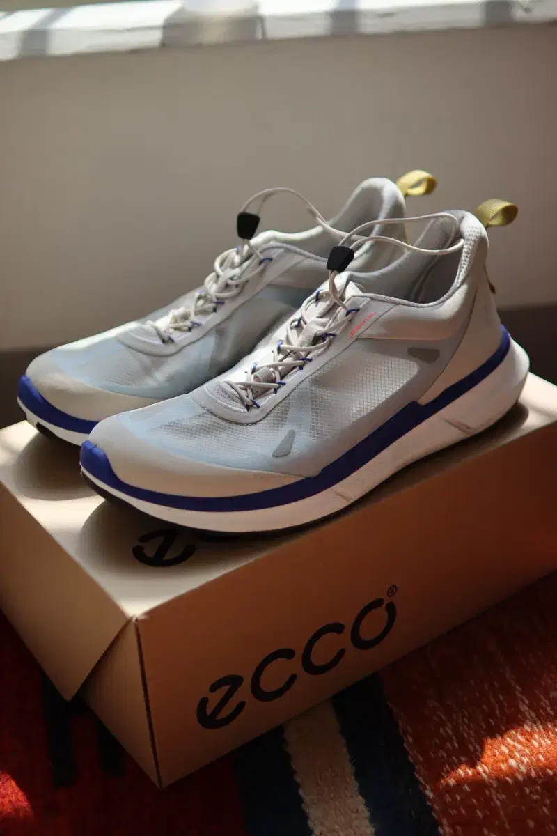 Ecco running shoes (270)