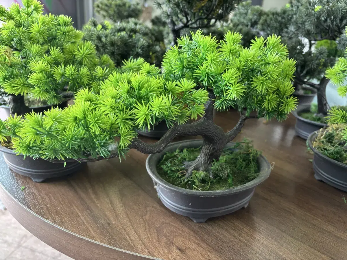 Artificial mini pine bonsai lifelike interior artificial tree wholesale flowerpot