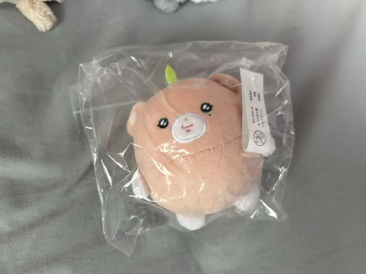 세븐틴 승관 인형 대지뿌 양도 판매