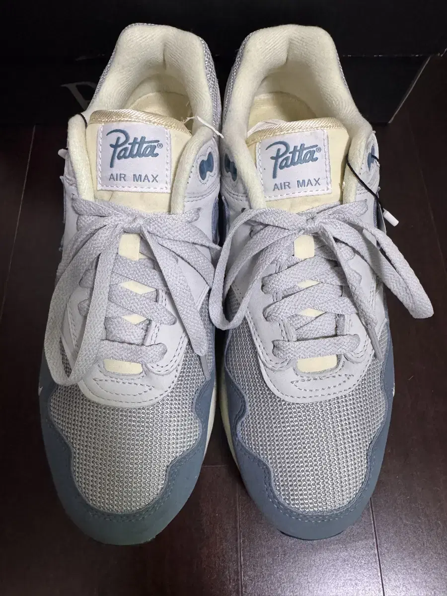 Nike Air Max Patta Aqua