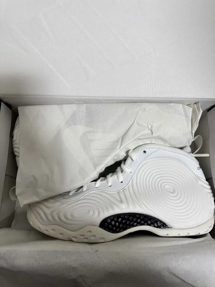 Comme des Garçons Homme Plus Nike Foamposite