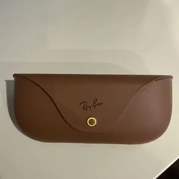 Ray-Ban Meta Wayfarer 케이스만