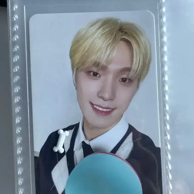 귀여운 디노 데리고 가세요!