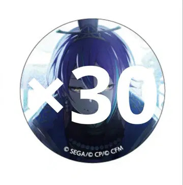 프로세카 카미시로 루이 그리 캔 20c