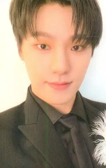 SEVENTEEN Begin DINO An Ode 화이트