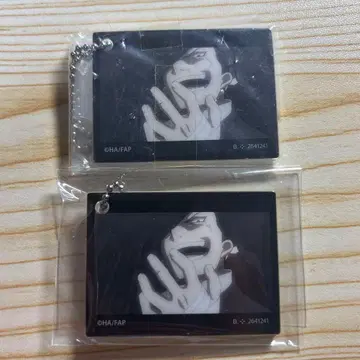 하가렌 강철의 연금술사 그리드 아크링 키링 아크릴 키링 2개 세트