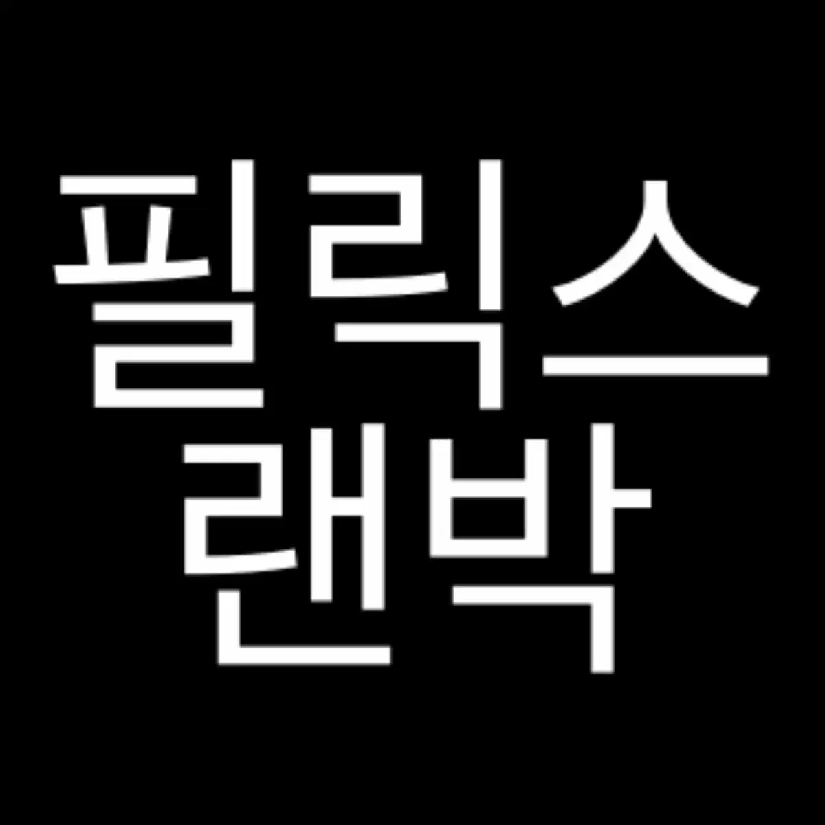 스키즈 필릭스 랜박 포카 증사 인형 네시픽 노이지 오디너리 맥시던트 특